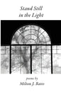 Stand Still in the Light - Paperback