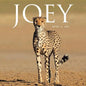 Joey - Paperback