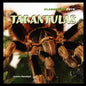 Tarantulas - Paperback