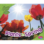 Plants in Spring - Paperback
