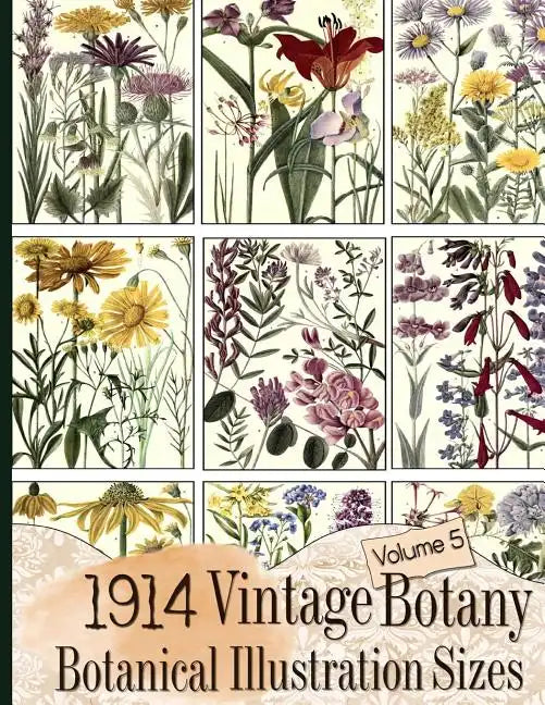 1914 Vintage Botany Botanical Illustration Sizes - Paperback