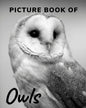 Picture Book of Owls: The Picture Book for Alzheimer's Patients and Seniors with Dementia. - Paperback