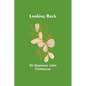 Looking Back - Paperback