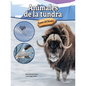 Animales de la Tundra: Tundra Animals - Hardcover