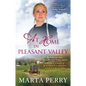 At Home in Pleasant Valley - Paperback