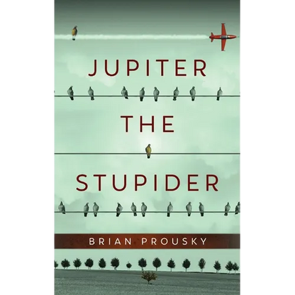 Jupiter the Stupider - Hardcover