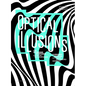Optical Illusions - Hardcover