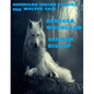 american indian stories: the wolves' call - Paperback