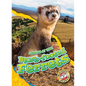 Black-Footed Ferrets - Library Binding