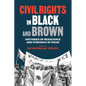 Civil Rights in Black and Brown: Histories of Resistance and Struggle in Texas - Hardcover