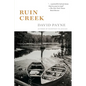Ruin Creek - Paperback