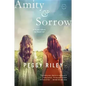 Amity & Sorrow - Paperback