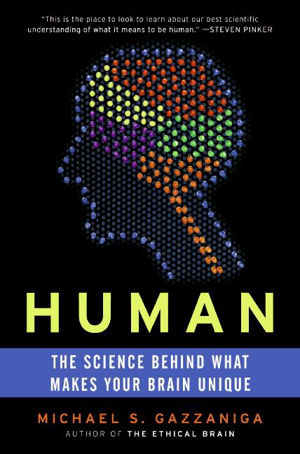 Human: The Science Behind What Makes Your Brain Unique - Paperback
