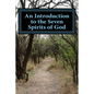 An Introduction to the Seven Spirits of God: Friends you need for the journey of your life - Paperback