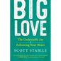 Big Love: The Undeniable Joy of Following Your Heart - Paperback