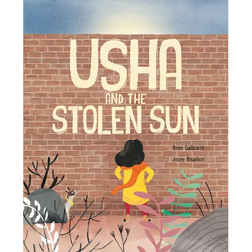 Usha and the Stolen Sun - Hardcover