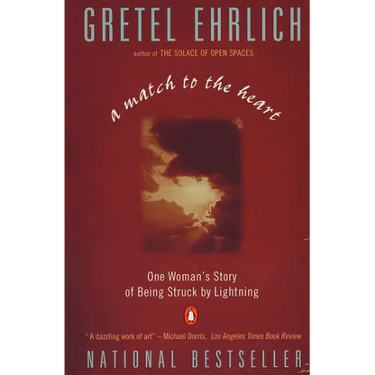 A Match to the Heart: One Woman's Story of Being Struck By Lightning - Paperback