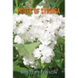 hores of Syringa - Paperback