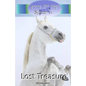 Lost Treasure (Jumping Into Danger Special #1) - Paperback