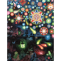 Peter Pan: An Illuminated Edition - Hardcover