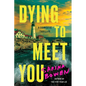Dying to Meet You: A Domestic Thriller - Paperback