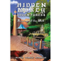 Hidden Mickey Adventures 4: Revenge of the Wolf - Paperback