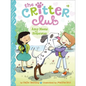 Amy Meets Her Stepsister - Hardcover