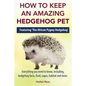 How to Keep an Amazing Hedgehog Pet. Featuring 'The African Pygmy Hedgehog' !!: Everything you Need to Know, Including, Hedgehog Facts, Food, Cages, H - Paperback