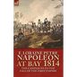 Napoleon at Bay, 1814: The Campaigns to the Fall of the First Empire - Paperback