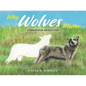Why Wolves Matter: A Conservation Success Story - Hardcover