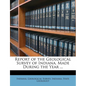 Report of the Geological Survey of Indiana, Made During the Year ... - Paperback