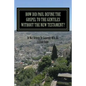 How Did Paul Define the Gospel to the Gentiles With-out the New Testament?: Understanding Sha'ul the Rabbi - Paperback