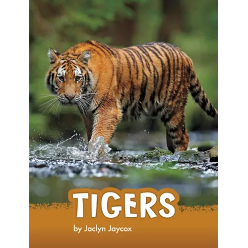 Tigers - Hardcover