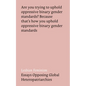 Lesbian Feminism: Essays Opposing Global Heteropatriarchies - Paperback
