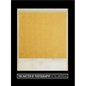The Matter of Photography in the Americas - Hardcover
