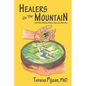 Healers on the Mountain - Paperback