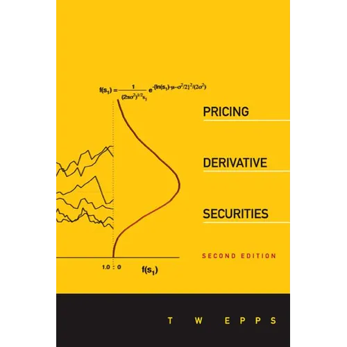 Pricing Derivative Securities (2nd Edition) - Paperback
