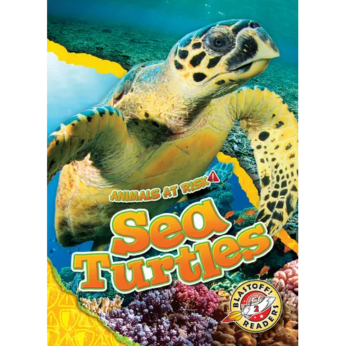Sea Turtles - Library Binding
