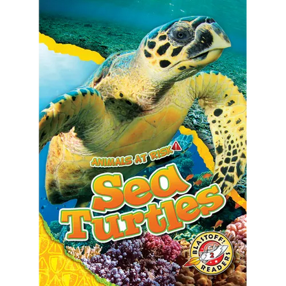 Sea Turtles - Library Binding