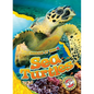 Sea Turtles - Library Binding