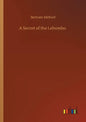 A Secret of the Lebombo - Paperback