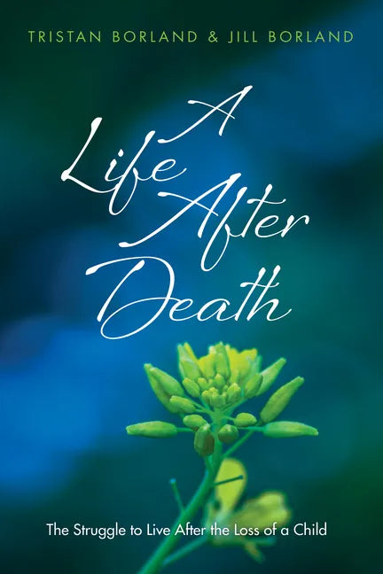 A Life After Death: The Struggle to Live After the Loss of a Child - Hardcover