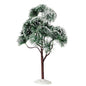 Mountain Pine, Extra Large