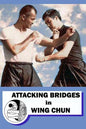 Attacking bridges in Wing Chun - Paperback
