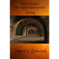 Baron Trump's Marvellous Underground Journey - Paperback