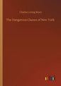 The Dangerous Classes of New York - Paperback