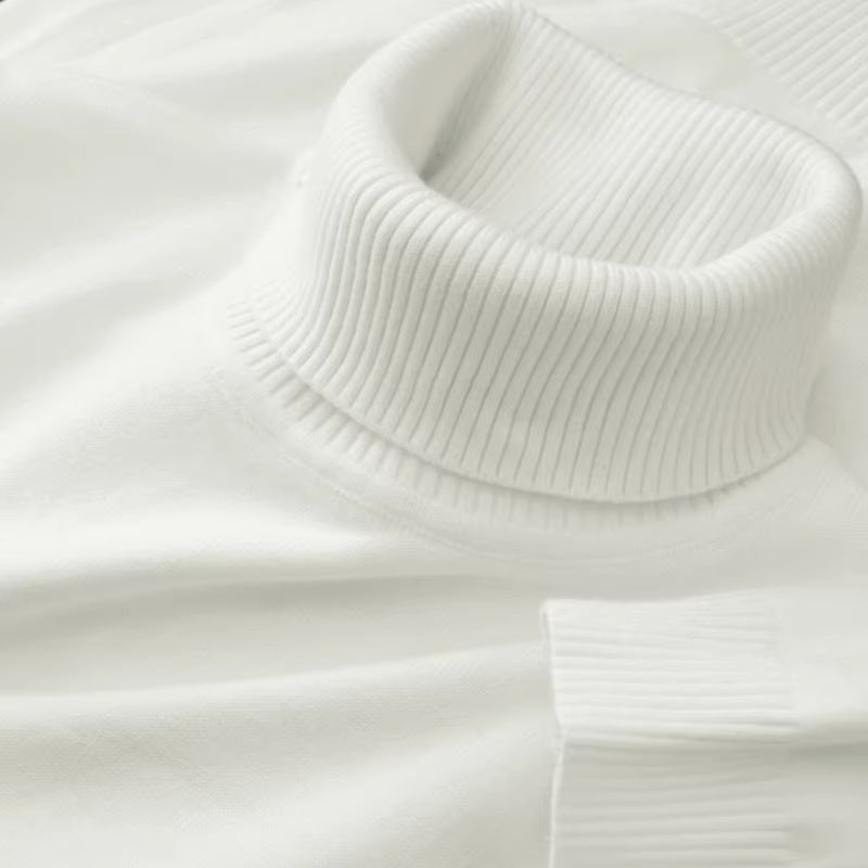 Skin-friendly Casual Warm Turtleneck Sweater For Men