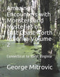 Amazing Encounters with Monsters and Mysteries of East Coast North America-Volume 2: Connecticut to West Virginia - Paperback