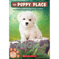 Angel - Hardcover