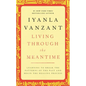 Living Through the Meantime: Learning to Break the Patterns of the Past and Begin the Healing Process - Hardcover